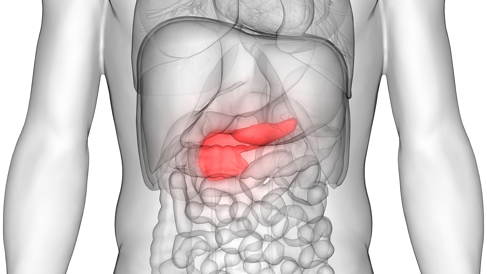 5 Warning Signs That Your Pancreas Is In Danger Health Care